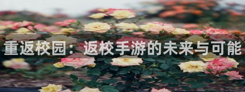 恩佐娱乐官方注册：重返校园：返校手游的未来与可能