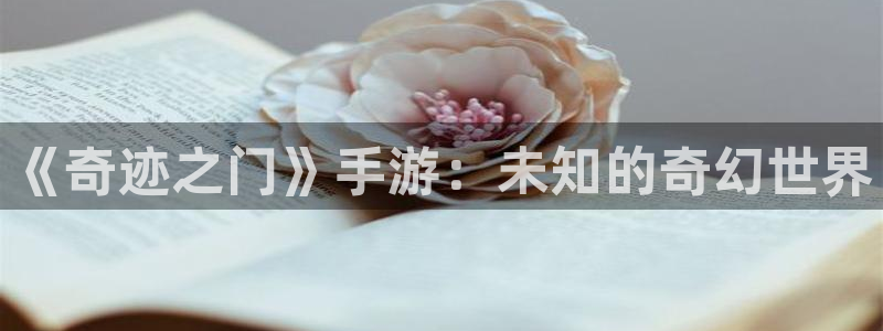 恩佐娱乐平台正规吗安全吗：《奇迹之门》手游：未知的奇幻世界