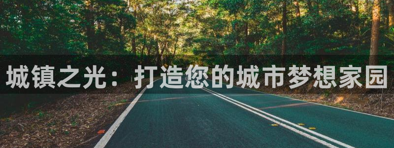 恩佐娱乐登陆：城镇之光：打造您的城市梦想家园