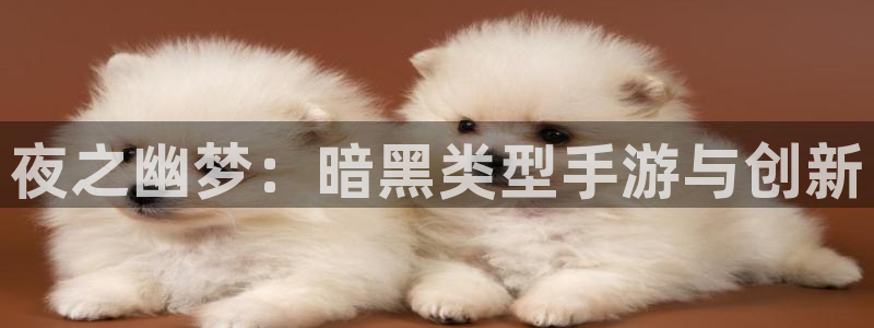 恩佐娱乐平台正规吗安全吗:夜之幽梦:暗黑类型手游与创新