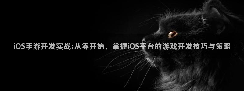 恩佐娱乐平台正规吗可靠吗:iOS手游开发实战:从零开始,掌握