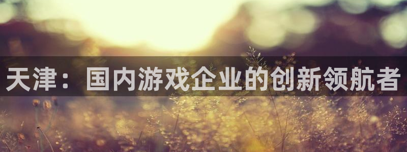 恩佐娱乐注册：天津：国内游戏企业的创新领航者