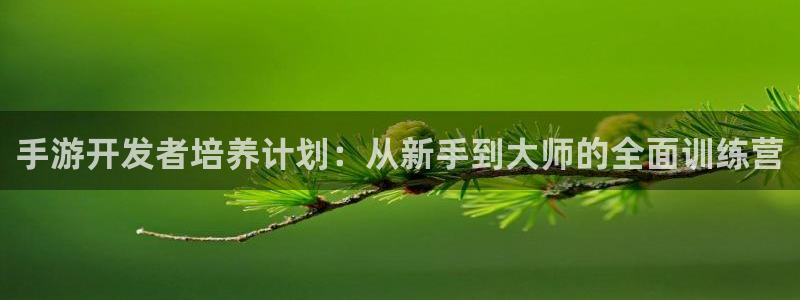 恩佐娱乐：手游开发者培养计划：从新手到大师的全面训练营