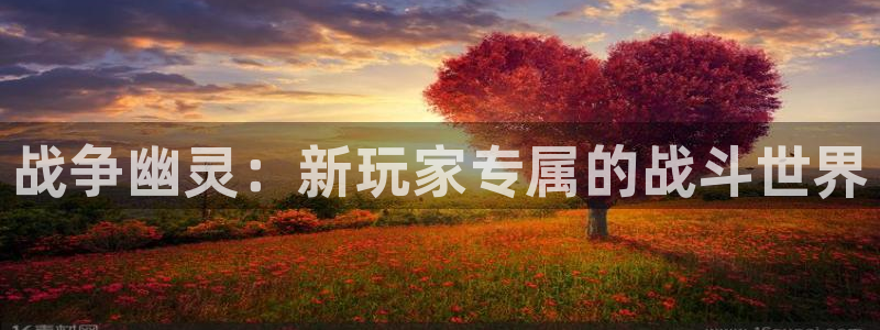 恩佐娱乐官方注册：战争幽灵：新玩家专属的战斗世界