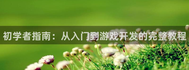 恩佐娱乐平台正规吗可靠吗：初学者指南：从入门到游戏开发的完整