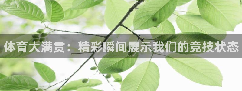 ug环球官网：体育大满贯：精彩瞬间展示我们的竞技状态