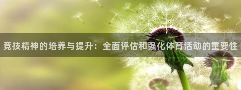 ug环球官网登录入口：竞技精神的培养与提升：全面评估和强化体育活动的重要性