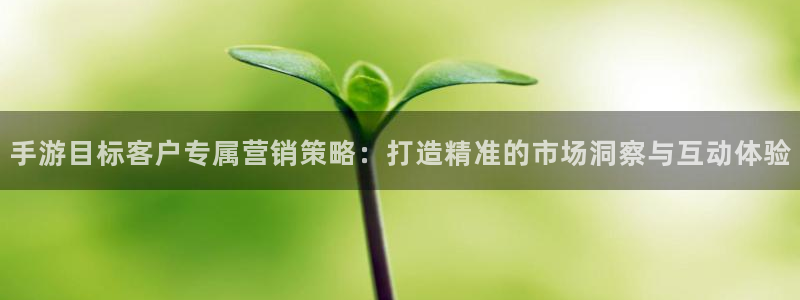 恩佐娱乐平台正规吗知乎：手游目标客户专属营销策略：打造精准的