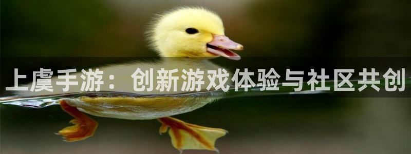 恩佐娱乐：上虞手游：创新游戏体验与社区共创