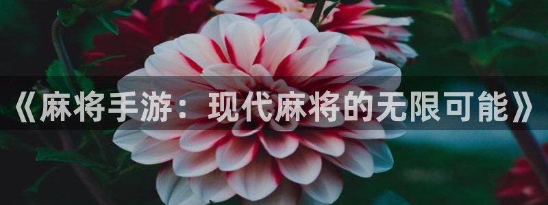 恩佐娱乐手机版最新功能介绍大全：《麻将手游：现代麻将的无限可